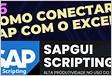 4. Como Conectar Script do SAP no Excel sapscriptin